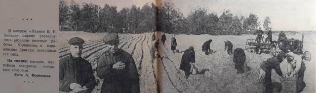 Феномен Сталинской экономики