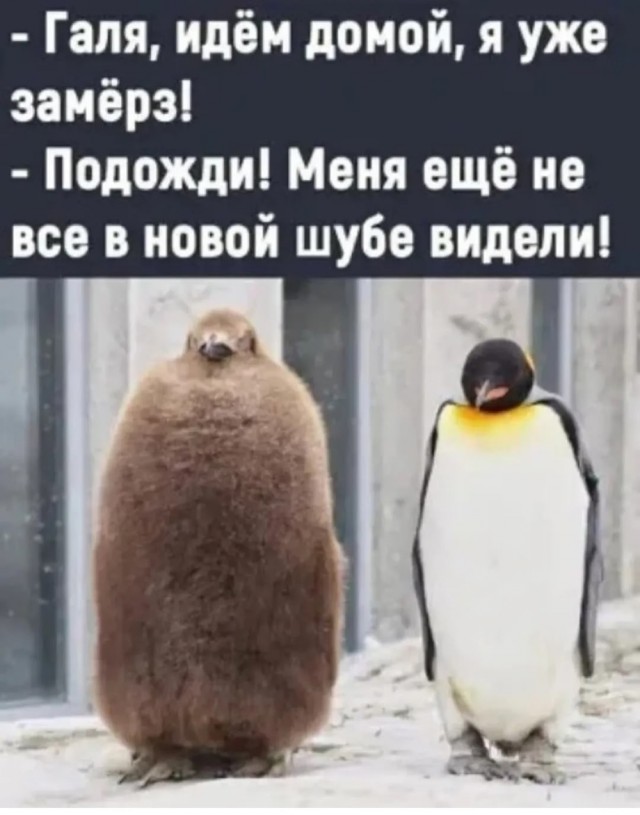 Среды картинки