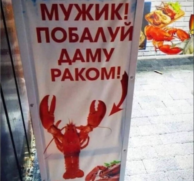Среды картинки