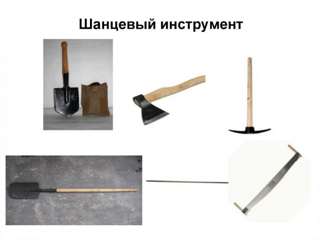 Редкие кадры и архивные снимки 28.01.26