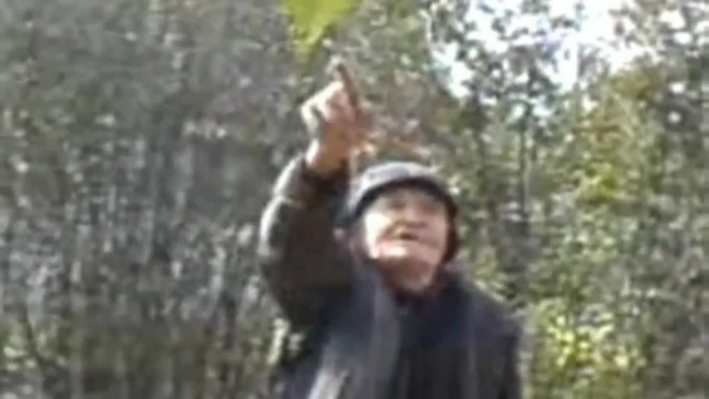 Кровельщики, что скажете?