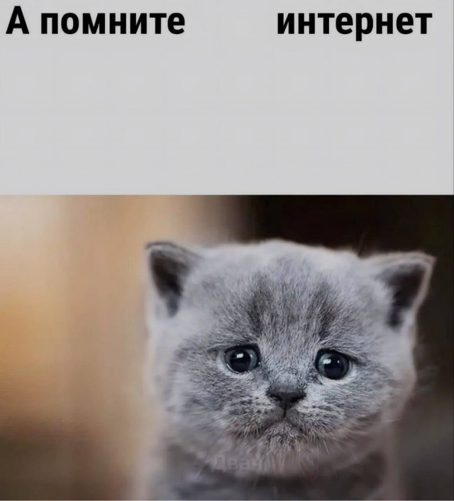 Вторника картинки