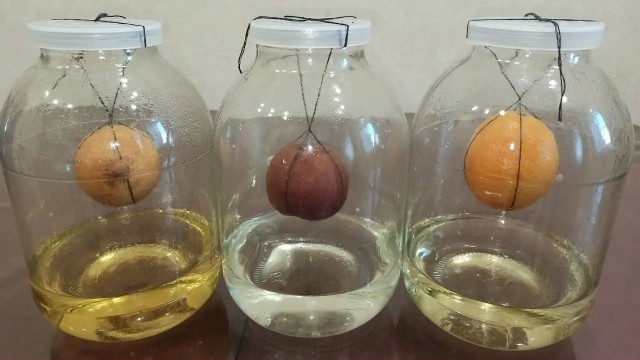 Хобби самогон