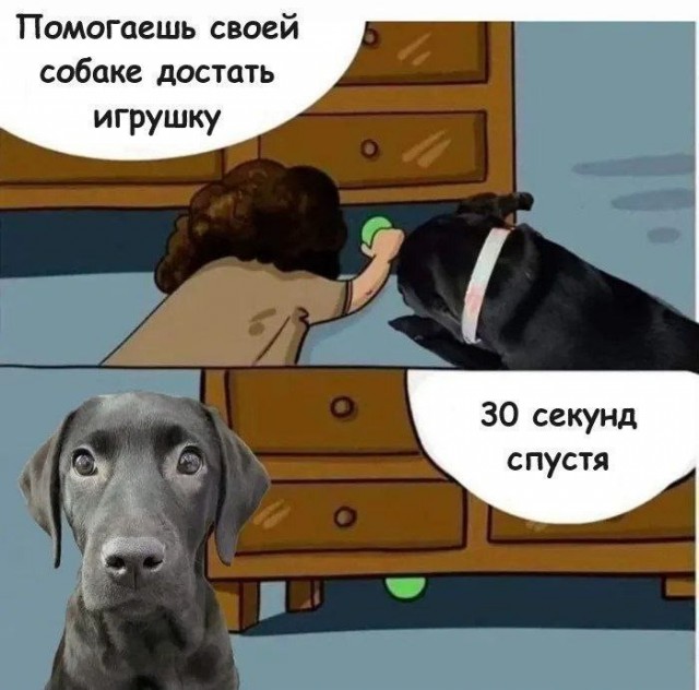 Картинки для деградации 260 (разной степени свежести)