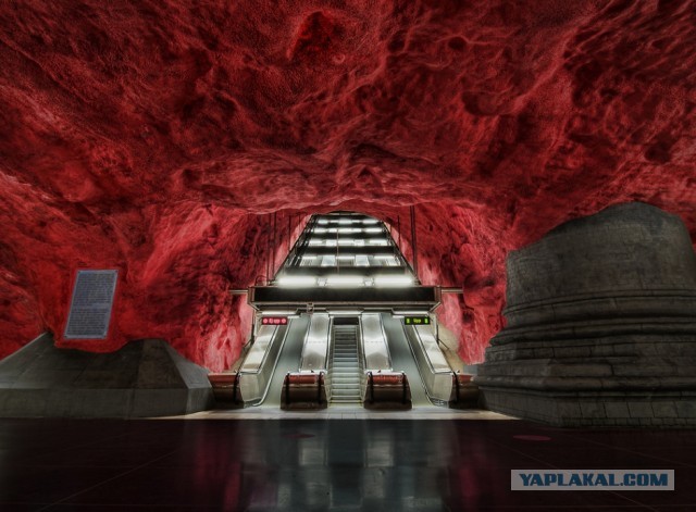 10 фотографий, которые выглядят как картины