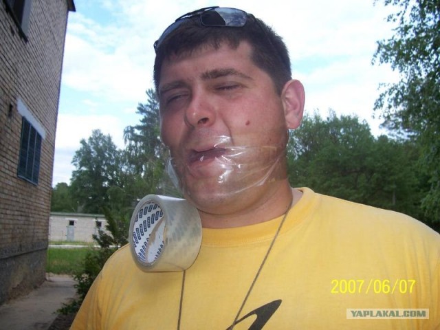 Палево от QIP 2010