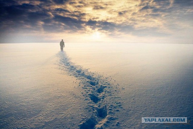 Лучшие фотографии года