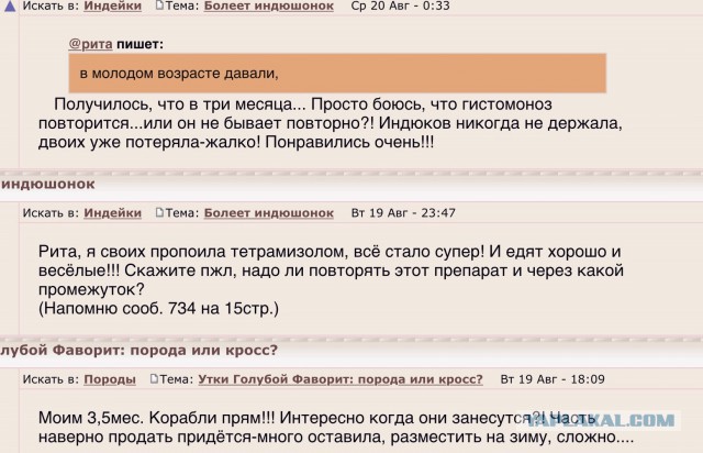 Итоги Кулинарного конкурса