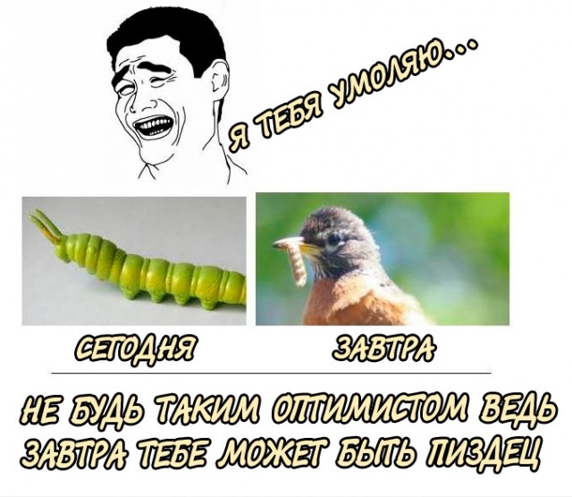 Оптимизма пост