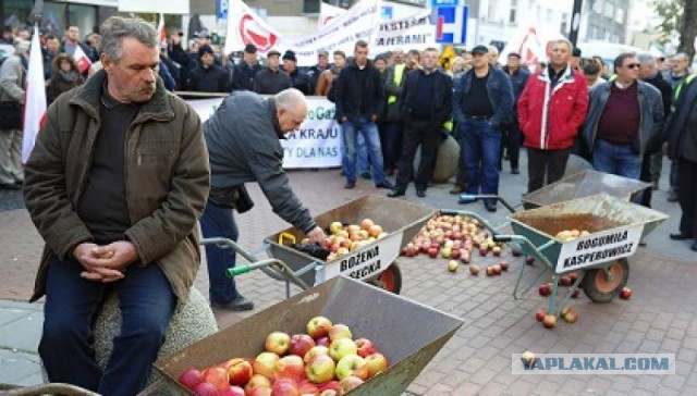 Поллитра вдребезги?... да я тебя!?