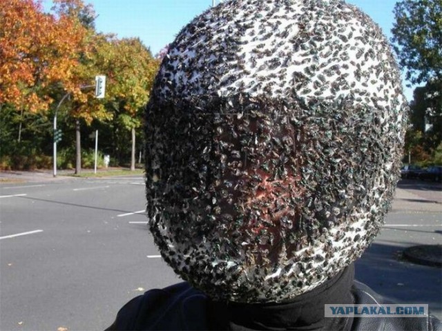 Комары по трассе Хабаровск Комсомольск