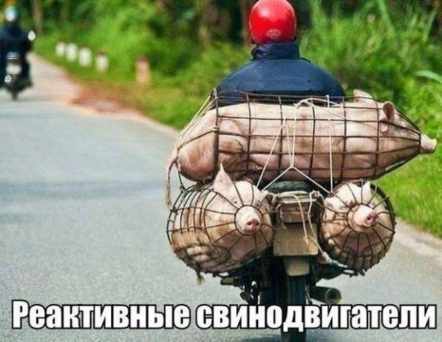 Автоприколы-5