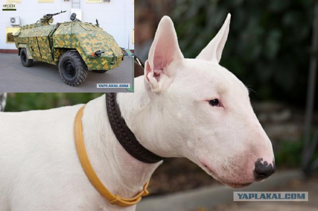 Новые образцы украинской военной техники
