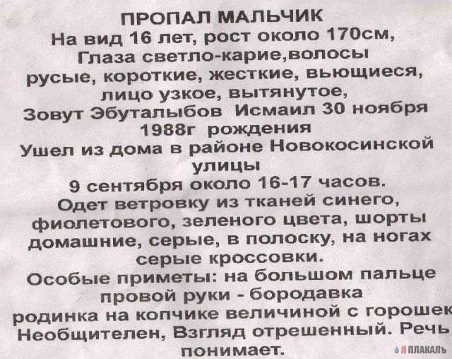ОБЪЯВЛЕНИЯ. На стенах, в газетах, афиши.