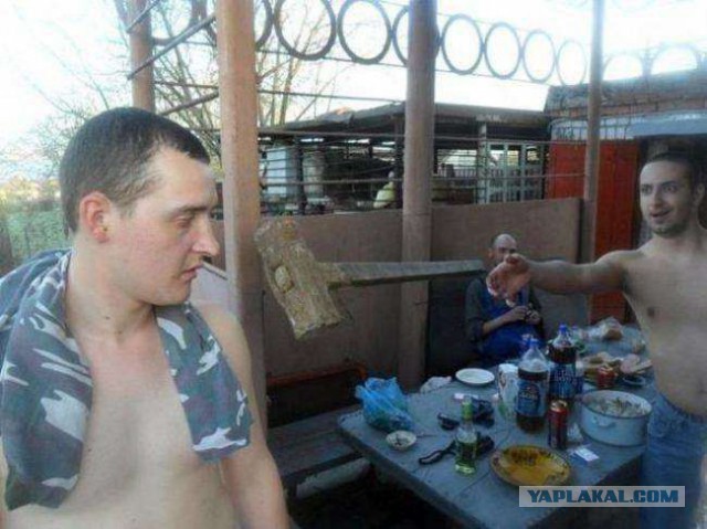 Картинки разные из сети