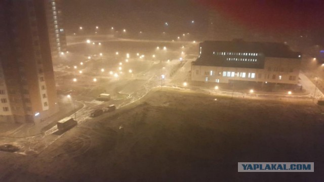 Подборка любопытных фотографий со всего света