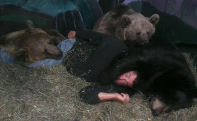 Дружба человека и 700-килограммового медведя
