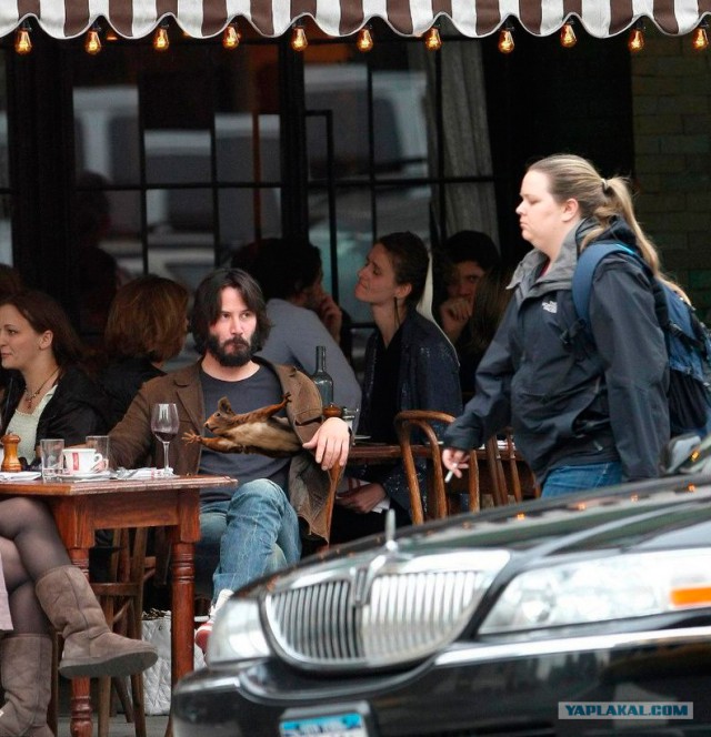 Не желаете ли пожабить