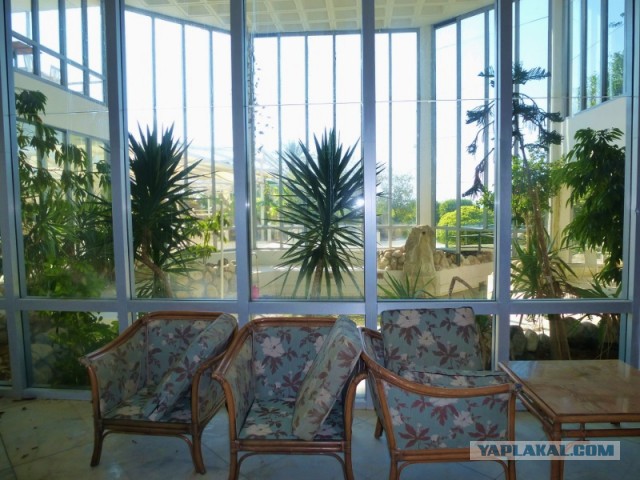 Провалившийся рай - невероятно отрезвляющий эксперимент