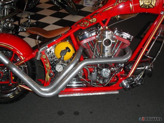 Occ Shop
