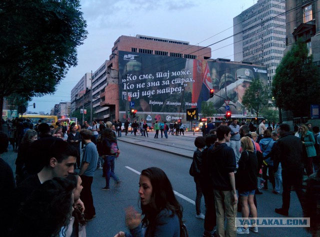 Митинг против правительства в Белграде