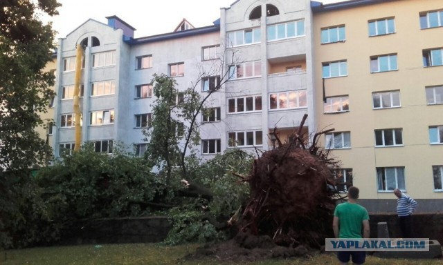 В Минске прошел самый сильный ливень за несколько лет
