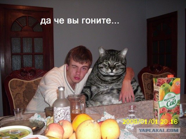 4 сентября Земля встретится с огромным астероидом