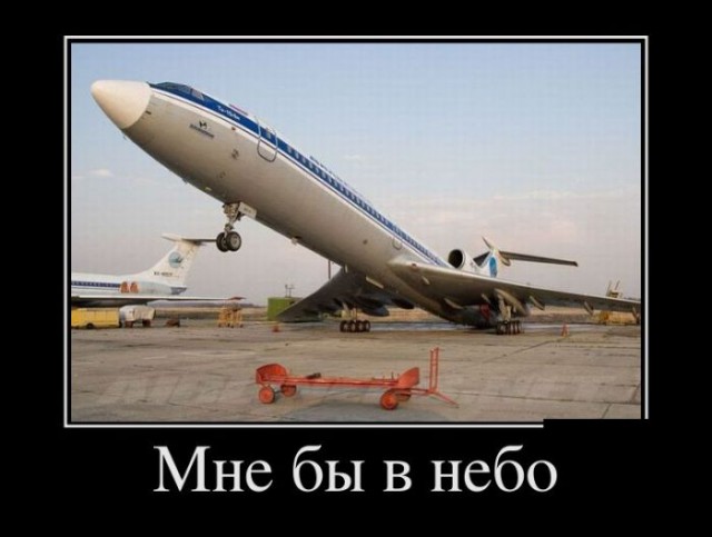 Немного картинок из этих ваших интернетов