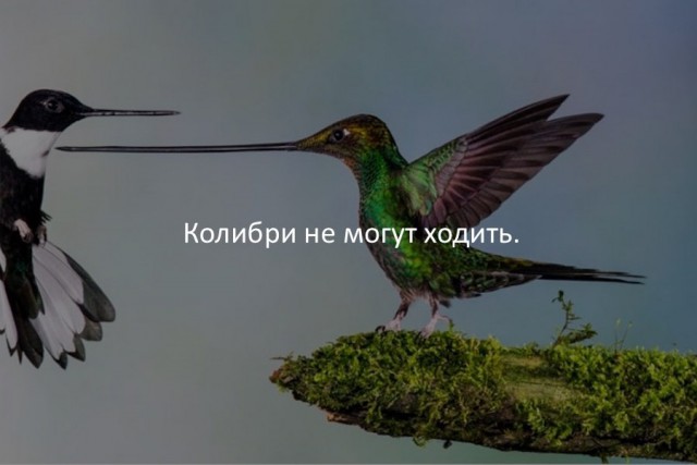 40 интересных фактов в картинках.
