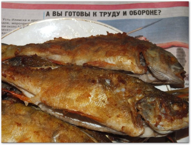 Охота на окуня.