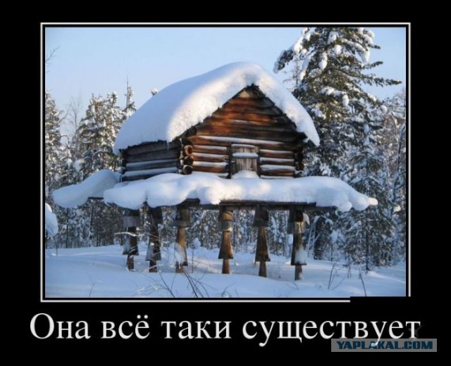 Веселая подборка демотиваторов