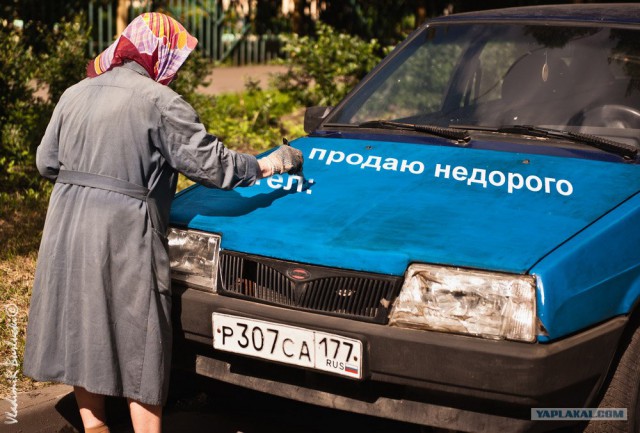 Пенсионерка из Белгорода облила фекалиями автомобиль