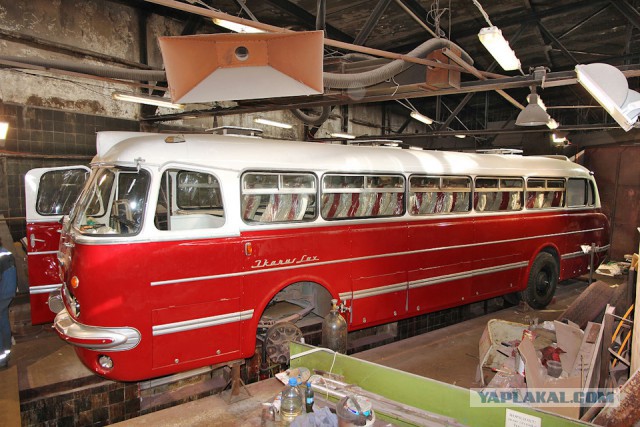 Ikarus 55 Lux "Сигара". Восставший красавчик