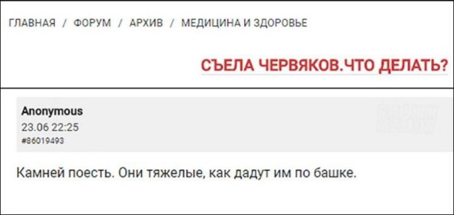 Забавные комментарии, шутки и фразы из этих ваших интернетов