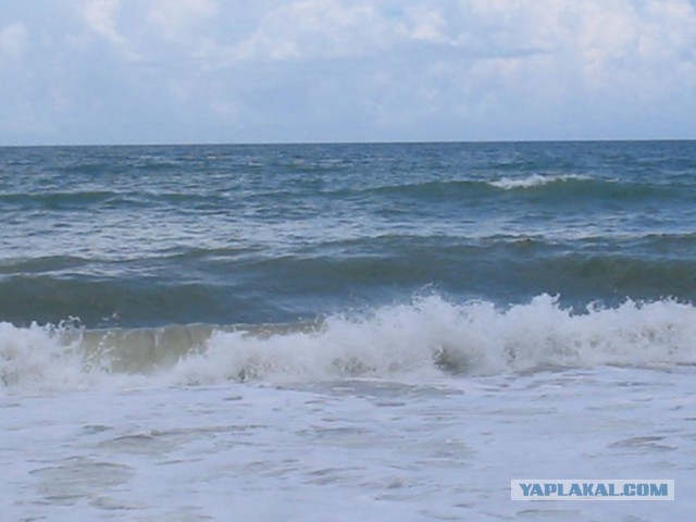 Море Каспийское и море Черное