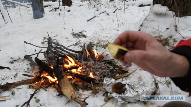 Поход в тайгу