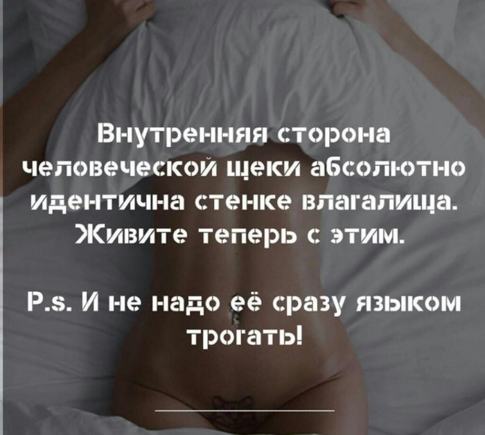 Ужас в семье Саид