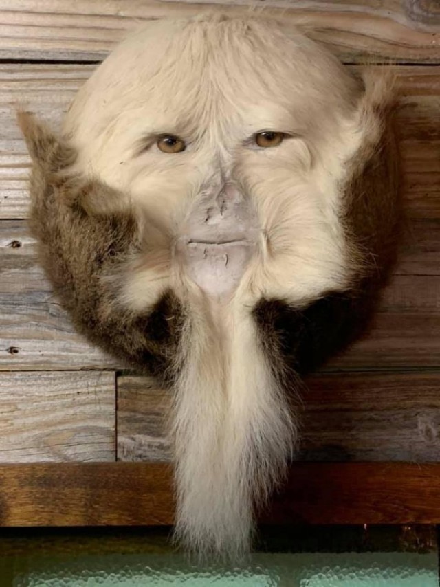 Кретинки 09.01.20