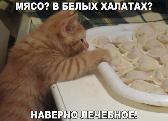 Древние мемы с ВК. Для тех кто забыл #7