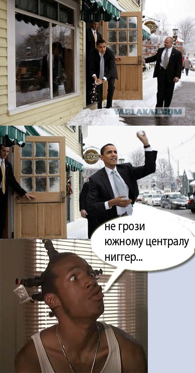 Фотожаба: Снежок от Обамы