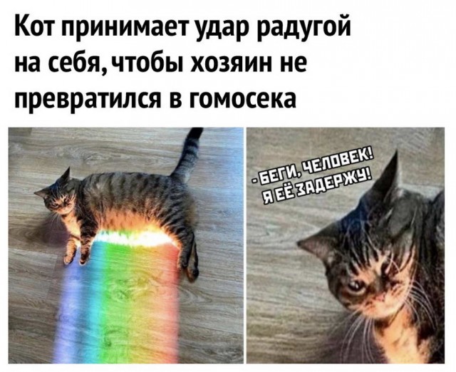 Юмор в картинках 20.08.20