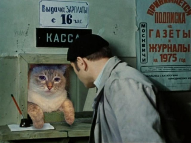 Факты, о которых вы не знали