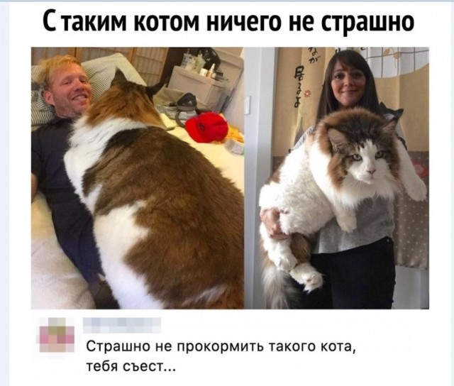 Картинки и мемы для настроения 018