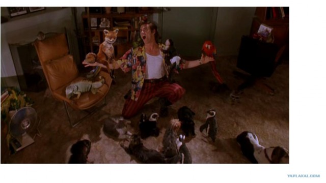 Таксидермия + наркомания