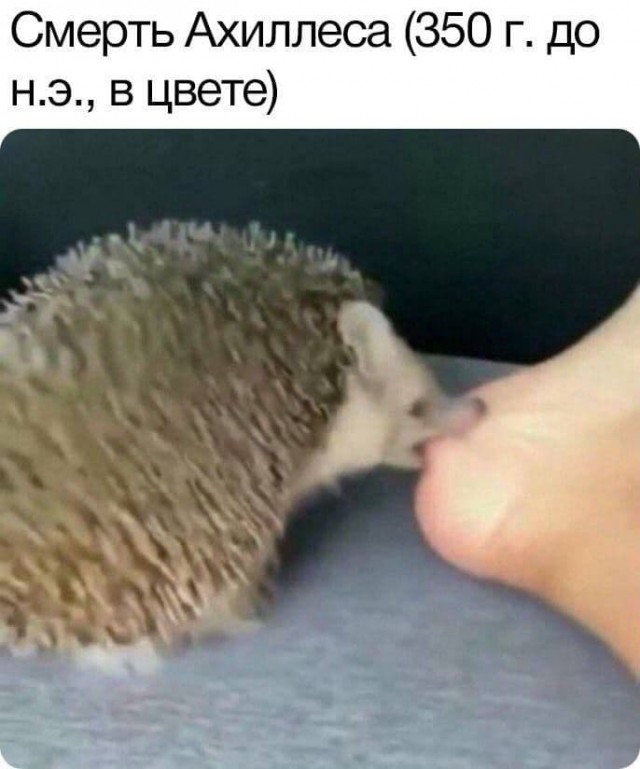 Эй вы, давно не деградировали?!