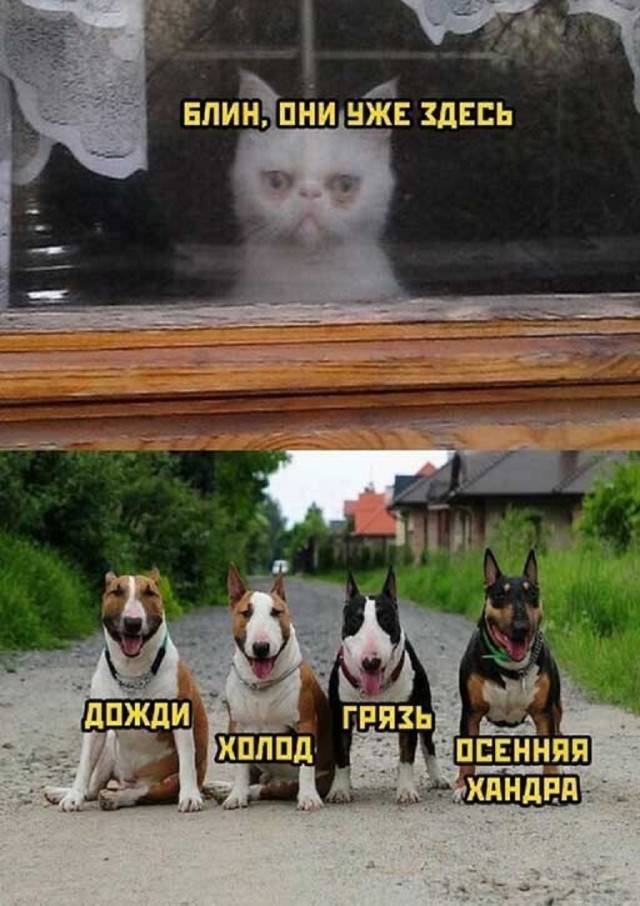 Проблема мужиков в том, что раздают свой член бесплатно!