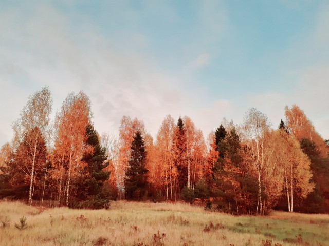 Моя мобильная фотография