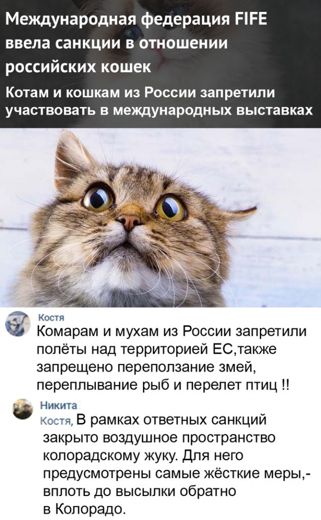 Чуток картинок 04.03.22