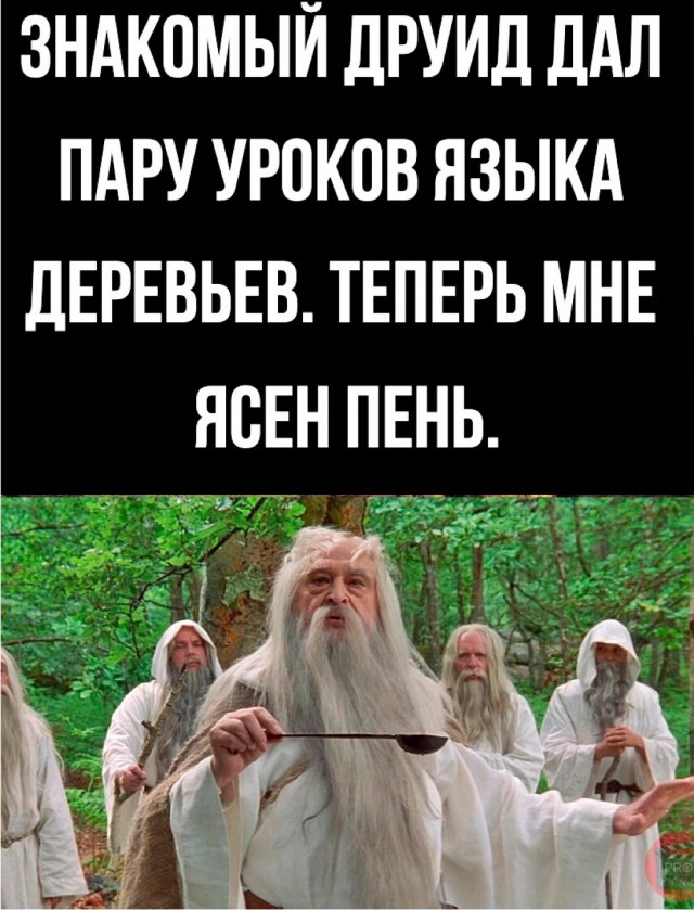Весёлый полтишок 14.04.22