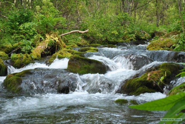 Трекинг по Ловозерским тундрам